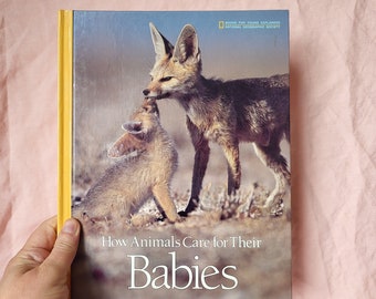 How Animals Care for Their Babies 1987 Roger B. Hirschland - Etsy Australia