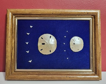 2 Sand Dollars with Birds, Wall Art, Wood Frame tabletop or wall hanging, Blue Velvet background, painted sand dollars. Framed Nautical Art