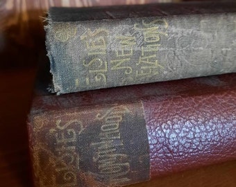 2 Books Elsie's Womanhood, 1905 and Elsie's New Relations, 1883. Dodd, Mead & Co, Martha Finley. SET OF 2. Antique Library Vintage Hardcover