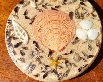 Trivet, Seashell Ocean Floor Resin Souvenir Shell Lucite Circle Hotplate. Vintage Sarasota Florida Beach House