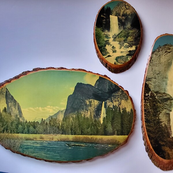 Retro Yosemite Live Edge Wall Art - slices of wood with pictures from Yosemite lacquered on