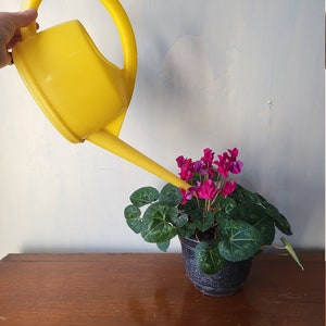 Swiss Stöckli Bright Yellow Watering Can. Vintage plastic long narrow spout indoor water can image 2