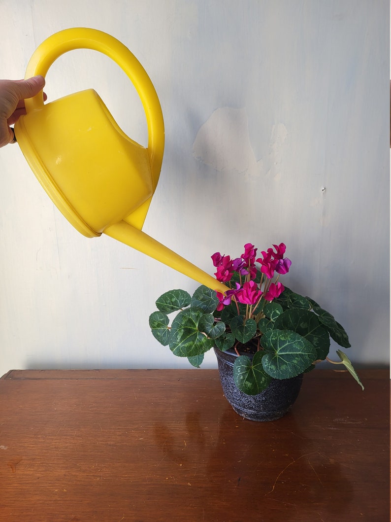 Swiss Stöckli Bright Yellow Watering Can. Vintage plastic long narrow spout indoor water can image 2