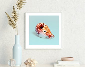 Nautilus Art Print Animal Fine Art Print square wall decor size 16"x16" inch 40x40 cm wall decor giclée poster