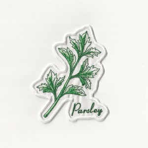 4&quot; Parsley Patch! Custom Made!
