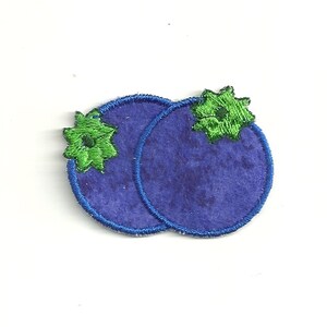 May include: Two blue felt blueberries with green felt leaves. The blueberries are sewn together.