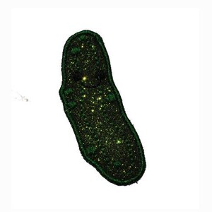 May include: A dark green, oblong-shaped patch with a glittery, speckled design. The patch has a dark green border and a rounded top and bottom. The background is white.