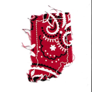 May include: A red bandana with a white and black paisley pattern. The bandana is frayed and torn around the edges.