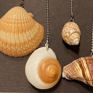 May include: Four seashells on chains, hanging from a brown background. The shells are a variety of shapes and colors, including a white and brown shell, a brown and white shell, a brown shell with white stripes, and a brown shell with a white and brown pattern.