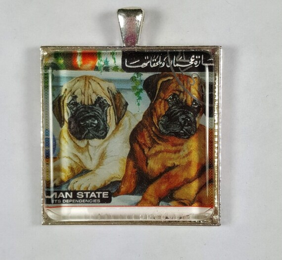 Shar Pei Chinese Wrinkly Wrinkles Puppies Dogs Genuine Postage Etsy