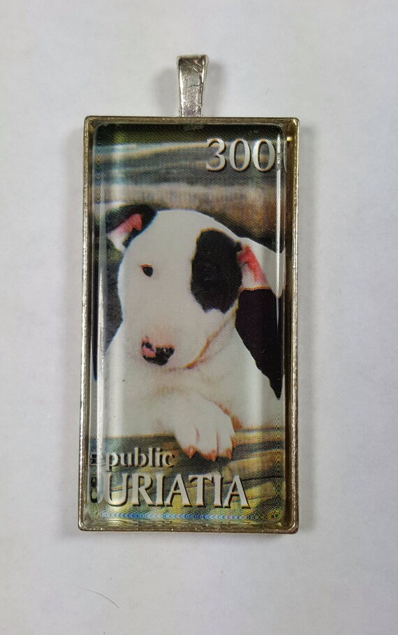 88+ White English Pitbull Terrier