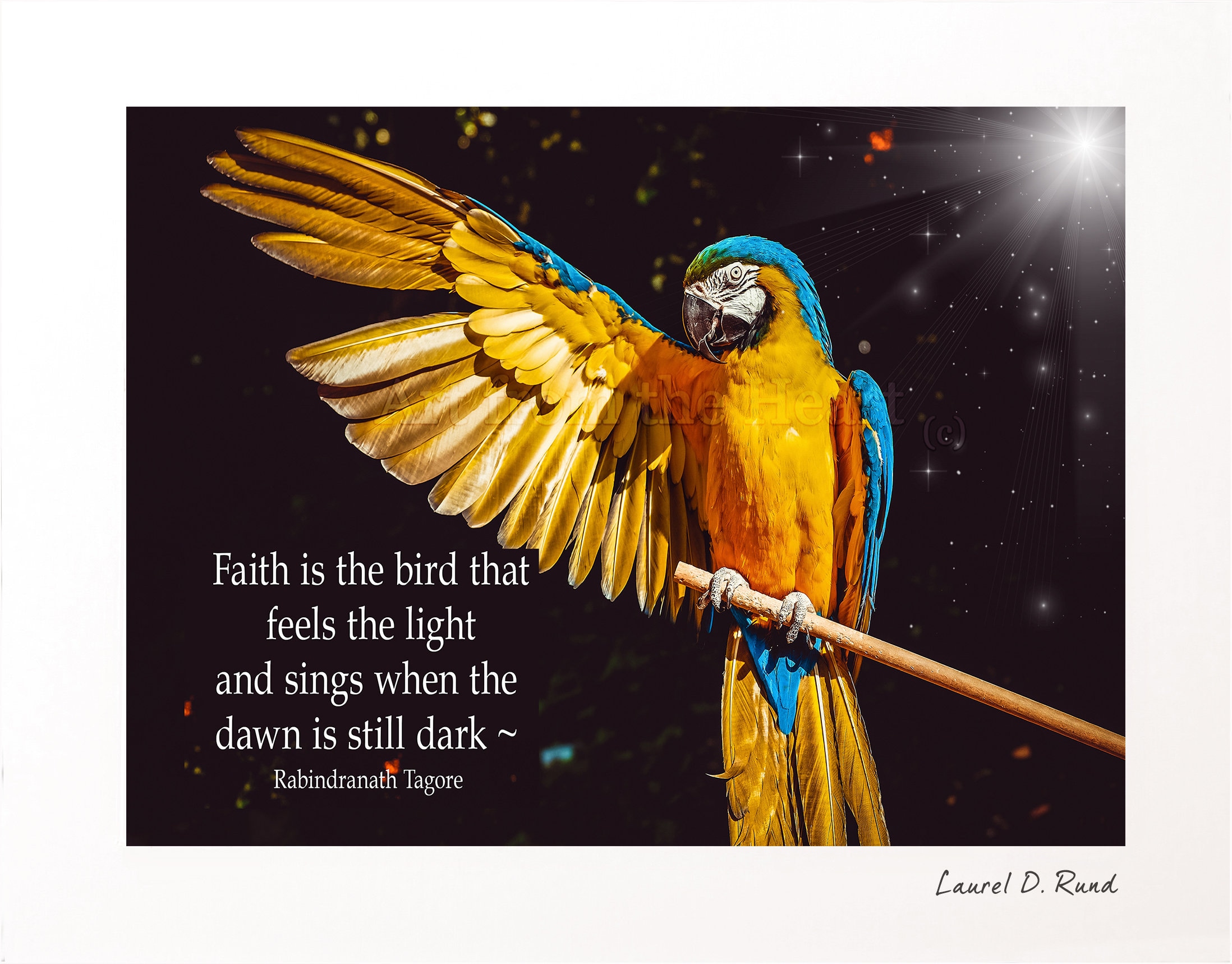 essay on faith is the bird that feels the light