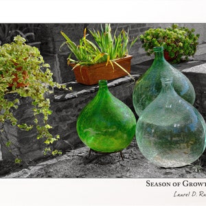 Tuscany Garden Print: Vintage Green Bottles Art (Signed & Numbered)