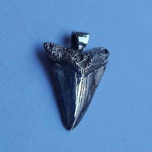 Sterling Silver Shark Tooth Pendant W12 image 2