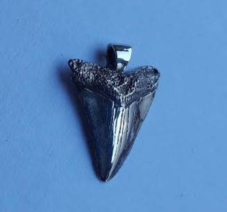 Sterling Silver Shark Tooth Pendant W12 image 2