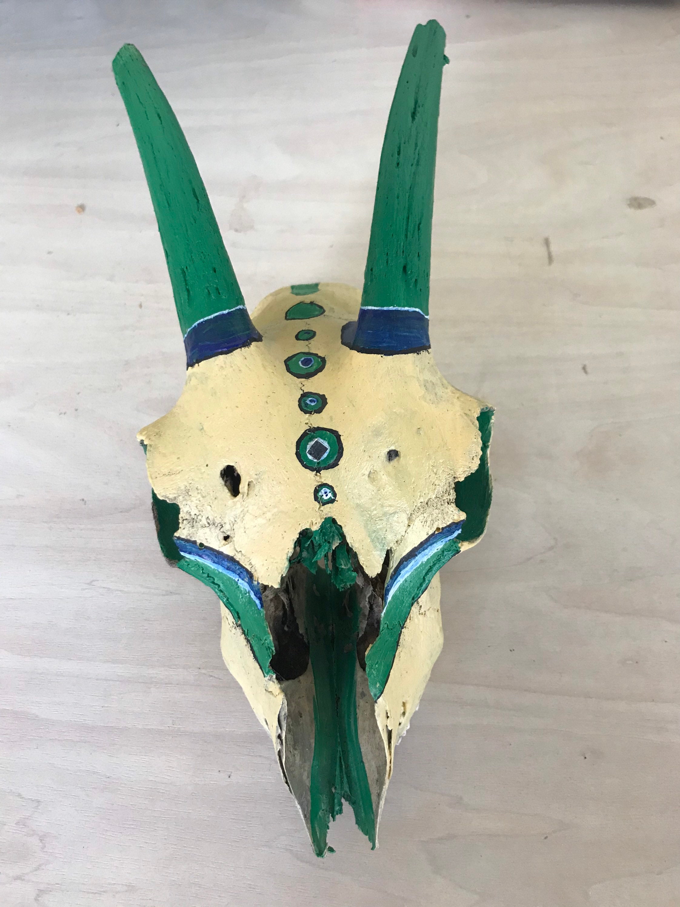 Crâne de Chèvre Peint et Décoré