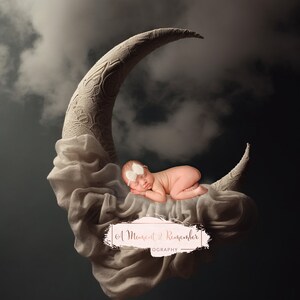 Newborn Moon Digital Backdrop Gray