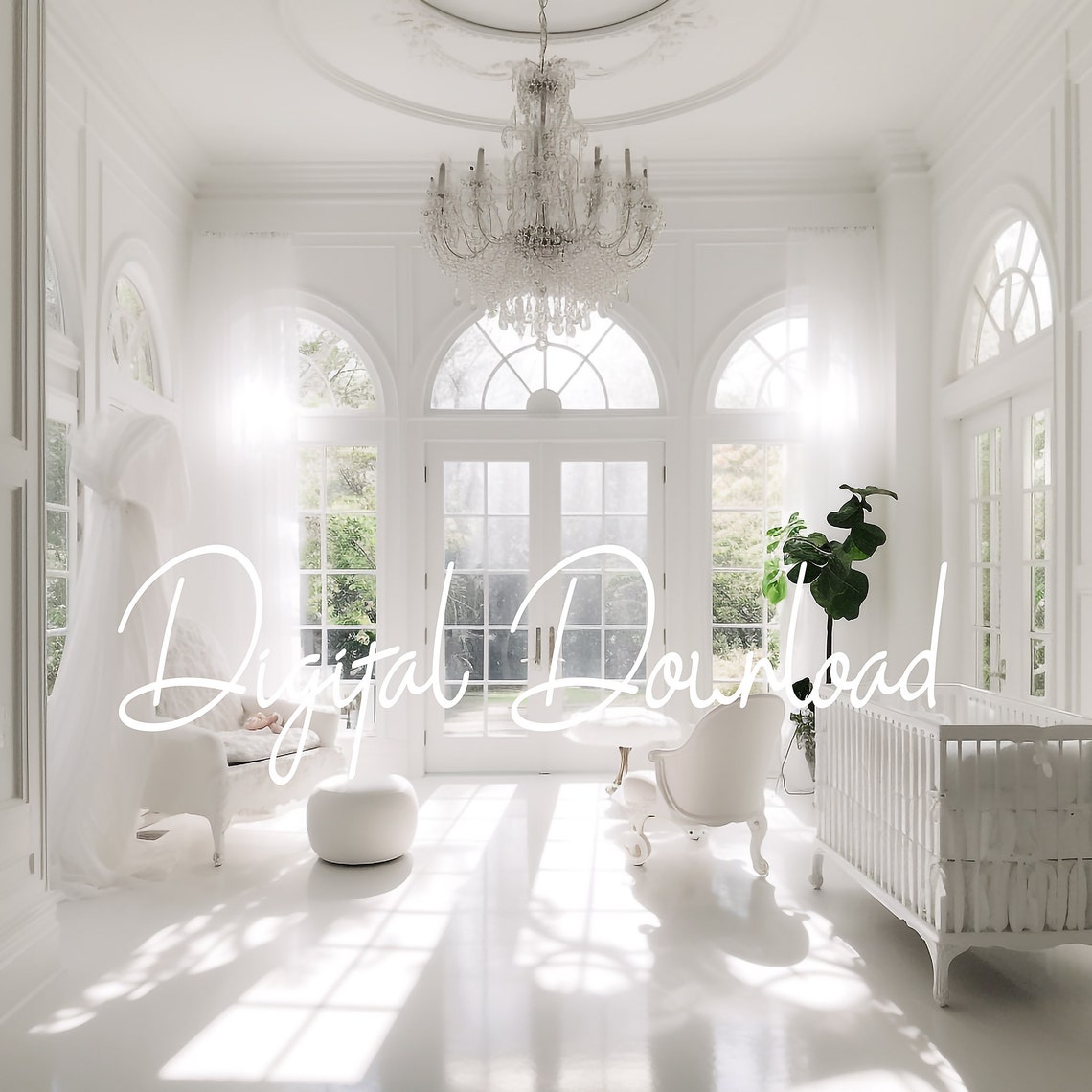 Maternity Digital Backdrop - Etsy