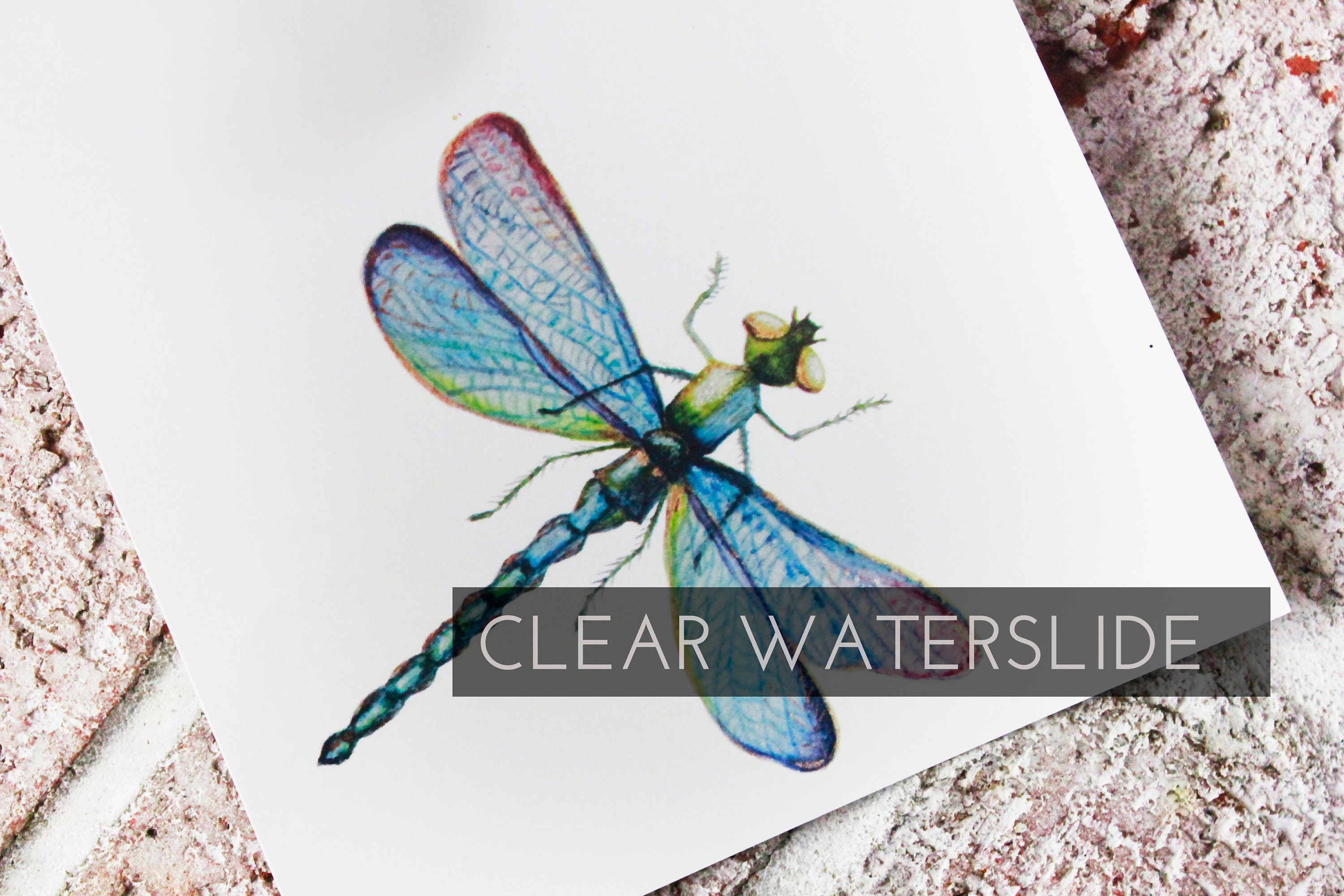 Dragon Fly Clear Waterslide Decal for Tumbler Making Ready to