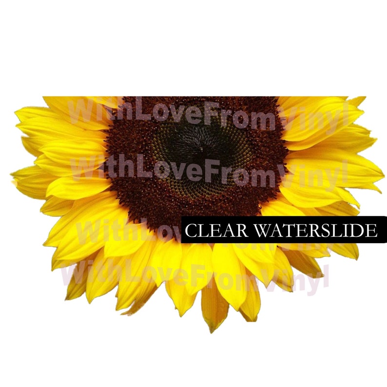 Free Free 95 Sunflower Waterslide Svg SVG PNG EPS DXF File