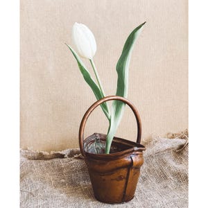 Könnte beinhalten: Eine einzelne weiße Tulpe mit grünen Blättern in einem kleinen, verwitterten Kupfereimer. Der Eimer verfügt über einen abgerundeten Henkel und eine metallische, bräunlich-orange Oberfläche mit sichtbaren Alters- und Oxidationsspuren am Innenrand.