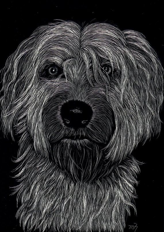 scratchboard for dogs