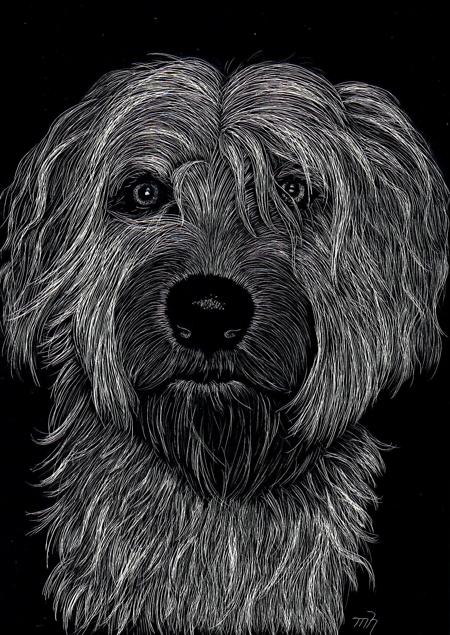 Custom Pet Portrait - Scratchboard (5x7)