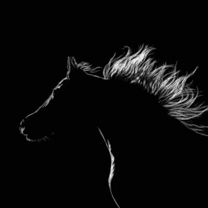 Horse Silhouette- Digital Download