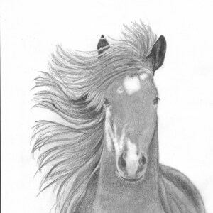 Wild Mustang- Horse Digital Download