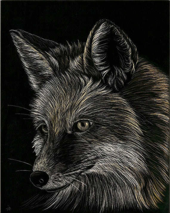 Beautiful, affordable scratchboard art print- Fox