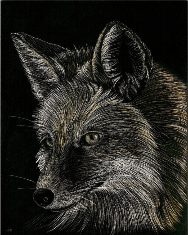 Beautiful Affordable Scratchboard Art Print Fox Etsy