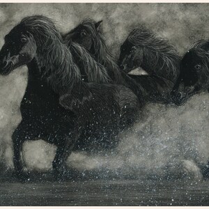 Horse Creek - Digital Download