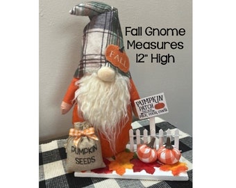 May include: A fall gnome with a plaid hat and orange body, holding a pumpkin-shaped tag that says "FALL". The gnome is 12 inches high. A burlap bag of pumpkin seeds and a sign that says "Pumpkin Patch" are also included.