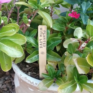 Gardening Pot Stake Garden Gift for Mom Personalized Farm Gift for Grandma Gardener Gift for Women Mother's Day Sister New Home Gift Aunt image 1