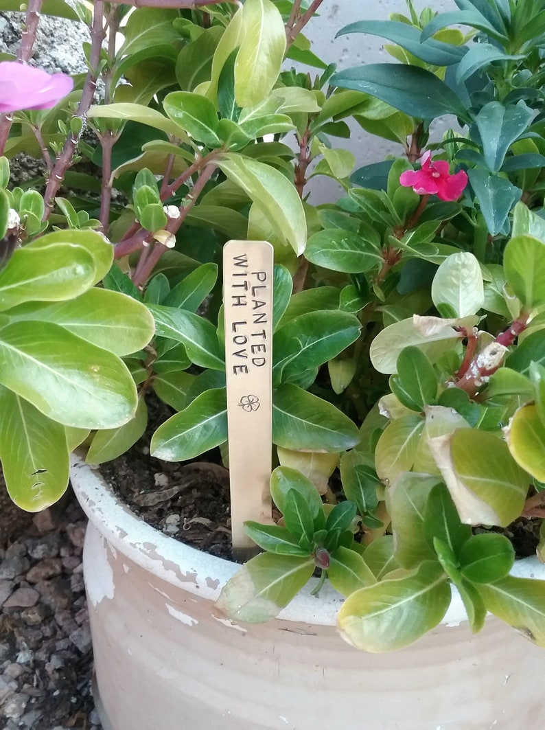 Gardening Pot Stake Garden Gift for Mom Personalized Farm Gift for Grandma Gardener Gift for Women Mother's Day Sister New Home Gift Aunt image 1