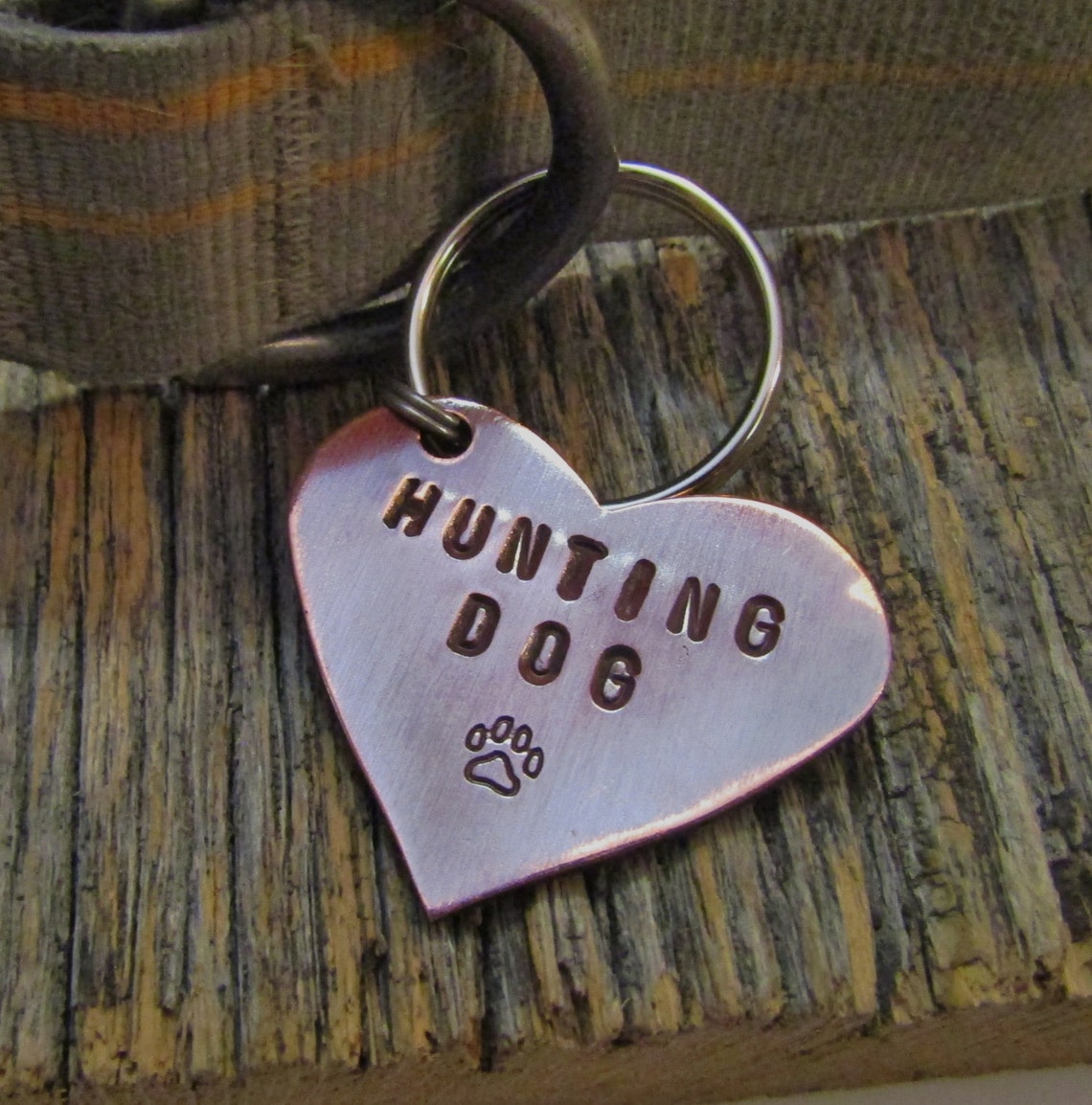 Hunting Dog Collar Pet Tags Custom Dog Tag Coon Dog Bird Dog Etsy