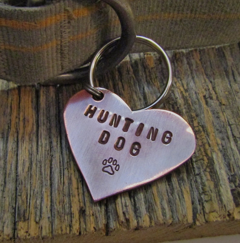 Hunting Dog Collar Pet Tags Custom Dog Tag Coon Dog Bird Dog Etsy