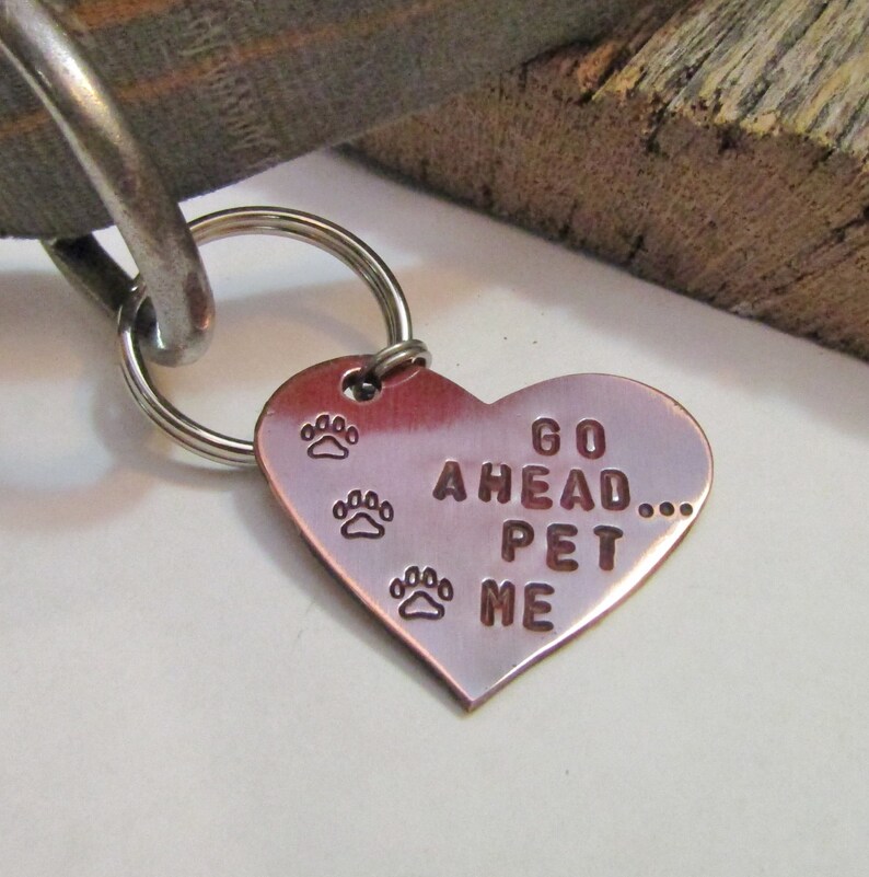 Funny Dog Collar Fun Pet Tag Small Dog Copper Dog Tag Boy Pet Etsy
