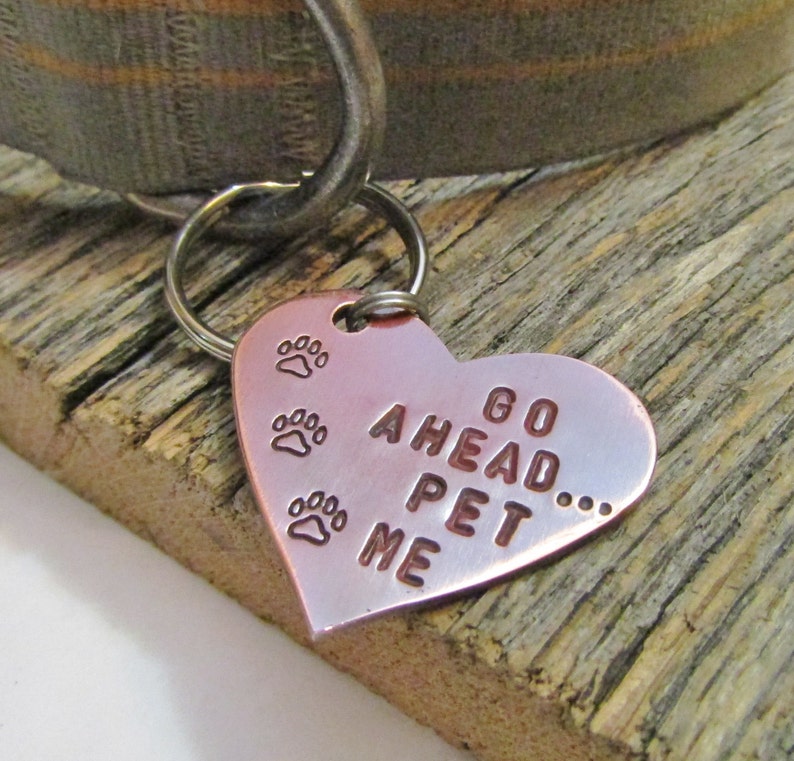 Funny Dog Collar Fun Pet Tag Small Dog Copper Dog Tag Boy Pet Etsy