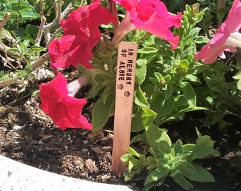 In Memory of Dog Pet Memorial Gift for Friend Loss of Dog Death of Beloved Pet Doggie Garden Stake Personalized Cemetery Marker Cat Memorial