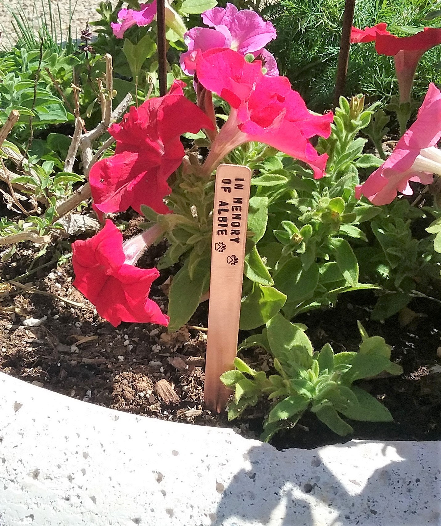 In Memory of Dog Pet Memorial Gift for Friend Loss of Dog Death of Be…