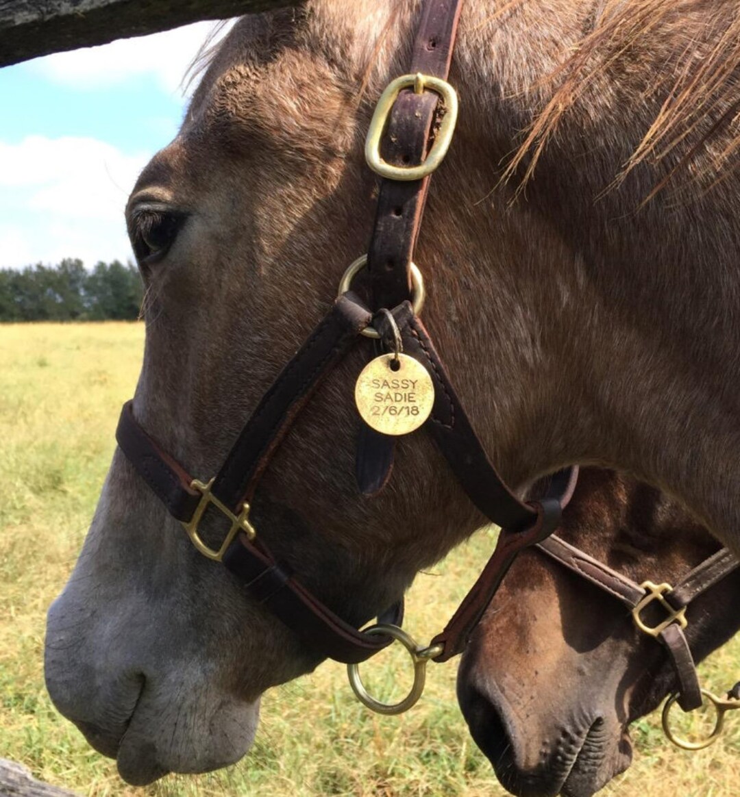 Personalized Horse Halter Name Tag Custom Horse ID Tag Hand Stamped