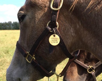 Étiquette de nom de cheval personnalisé Étiquette d’identification de cheval personnalisé Estampillé à la main Cheval Cadeau Métal Pet ID Charme pour bride - Cuivre Cuivre Bronze inoxydable