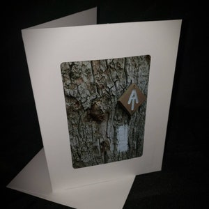 Appalachian Trail -5x7 Photo Greeting Card - White Blaze - Set of 2