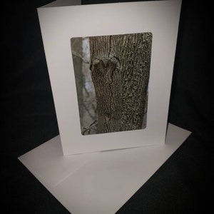 Leave Your Heart On The Appalachian Trail - 5x7 Photo Greeting Cards (set of 2)