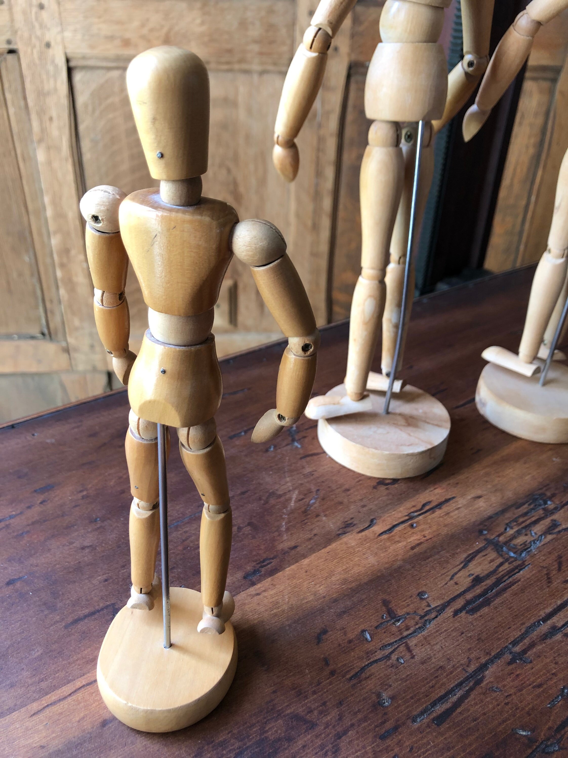 art manikins and anatomical models