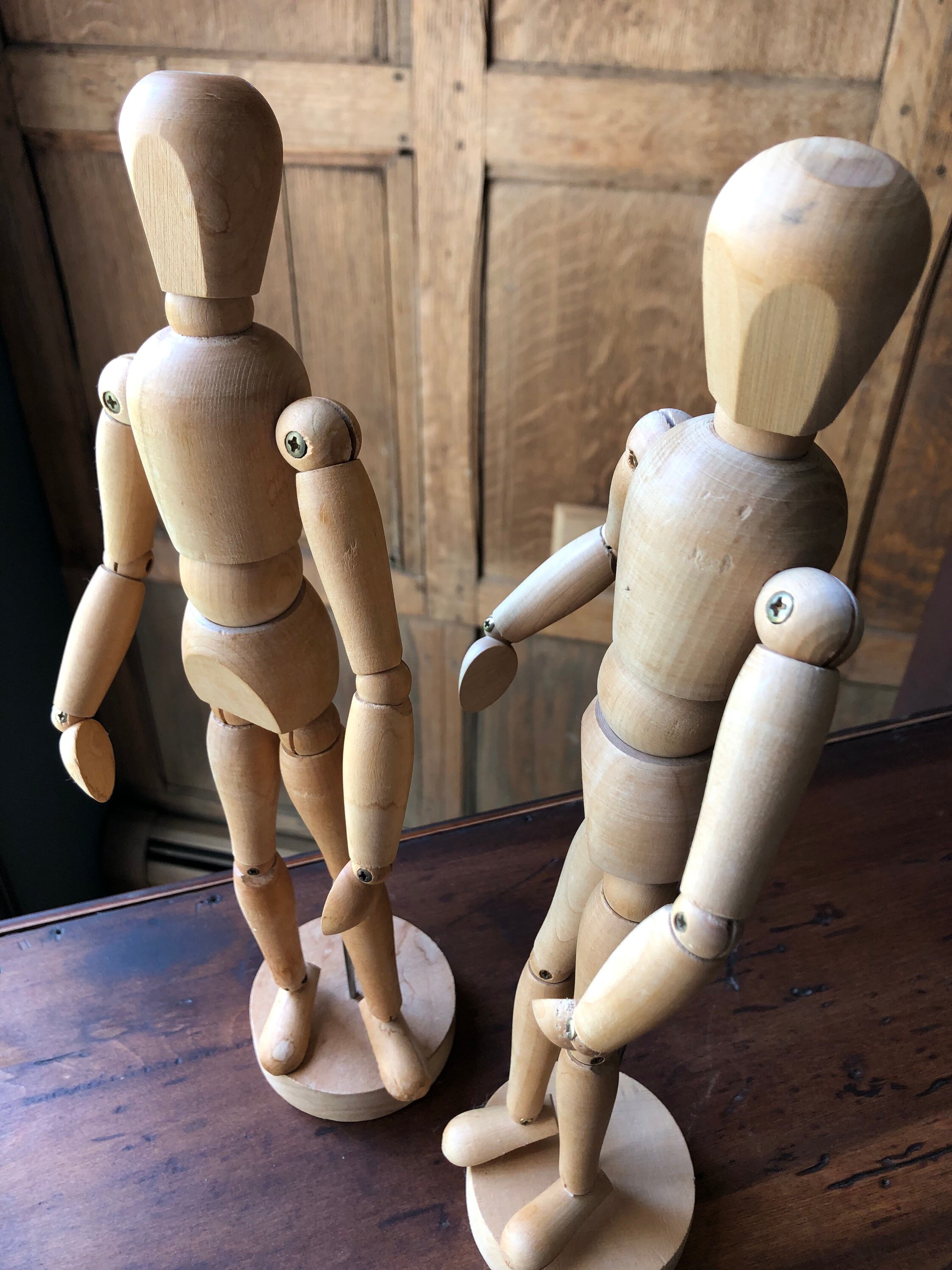 art manikins and anatomical models