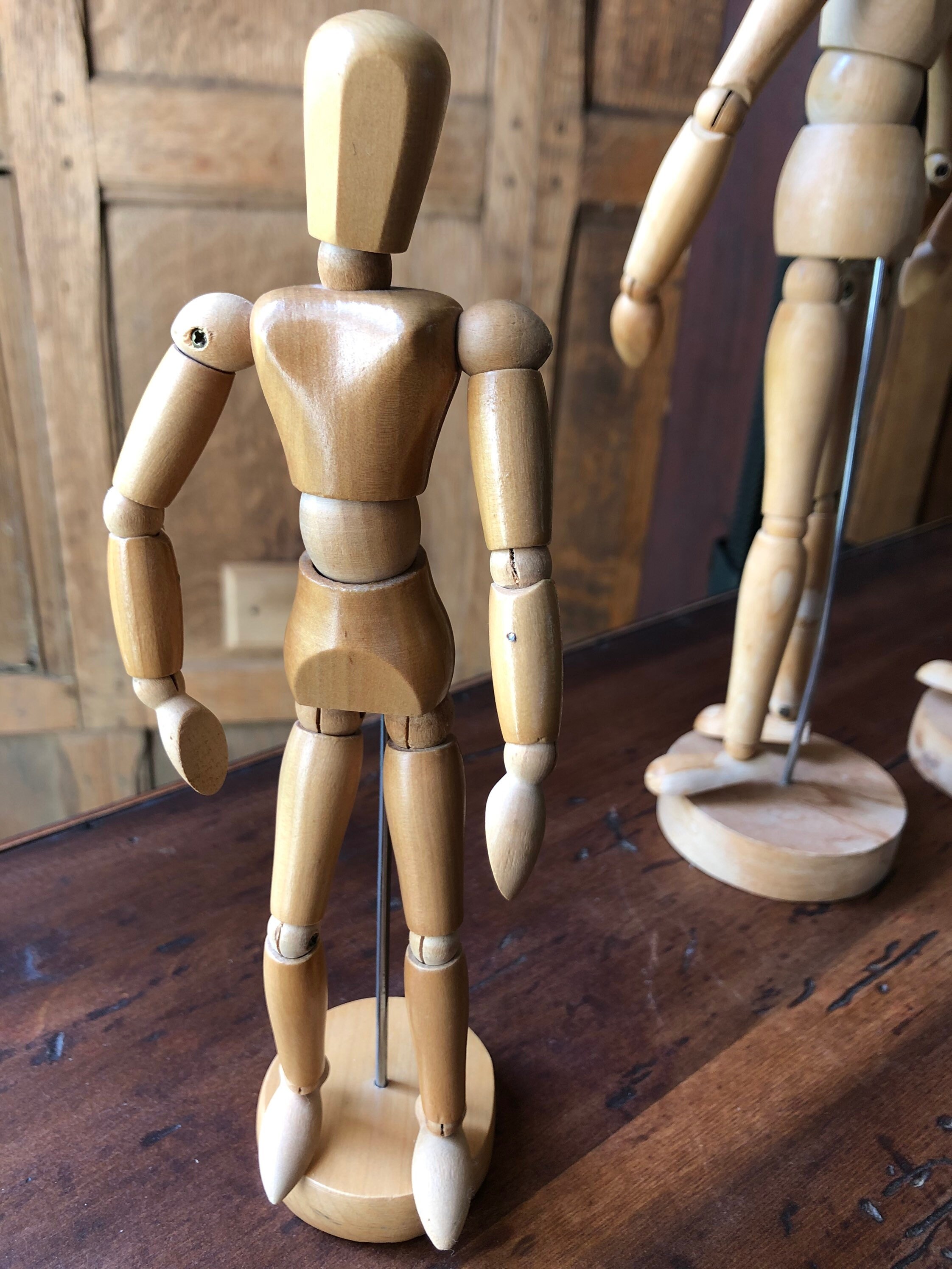 art manikins and anatomical models