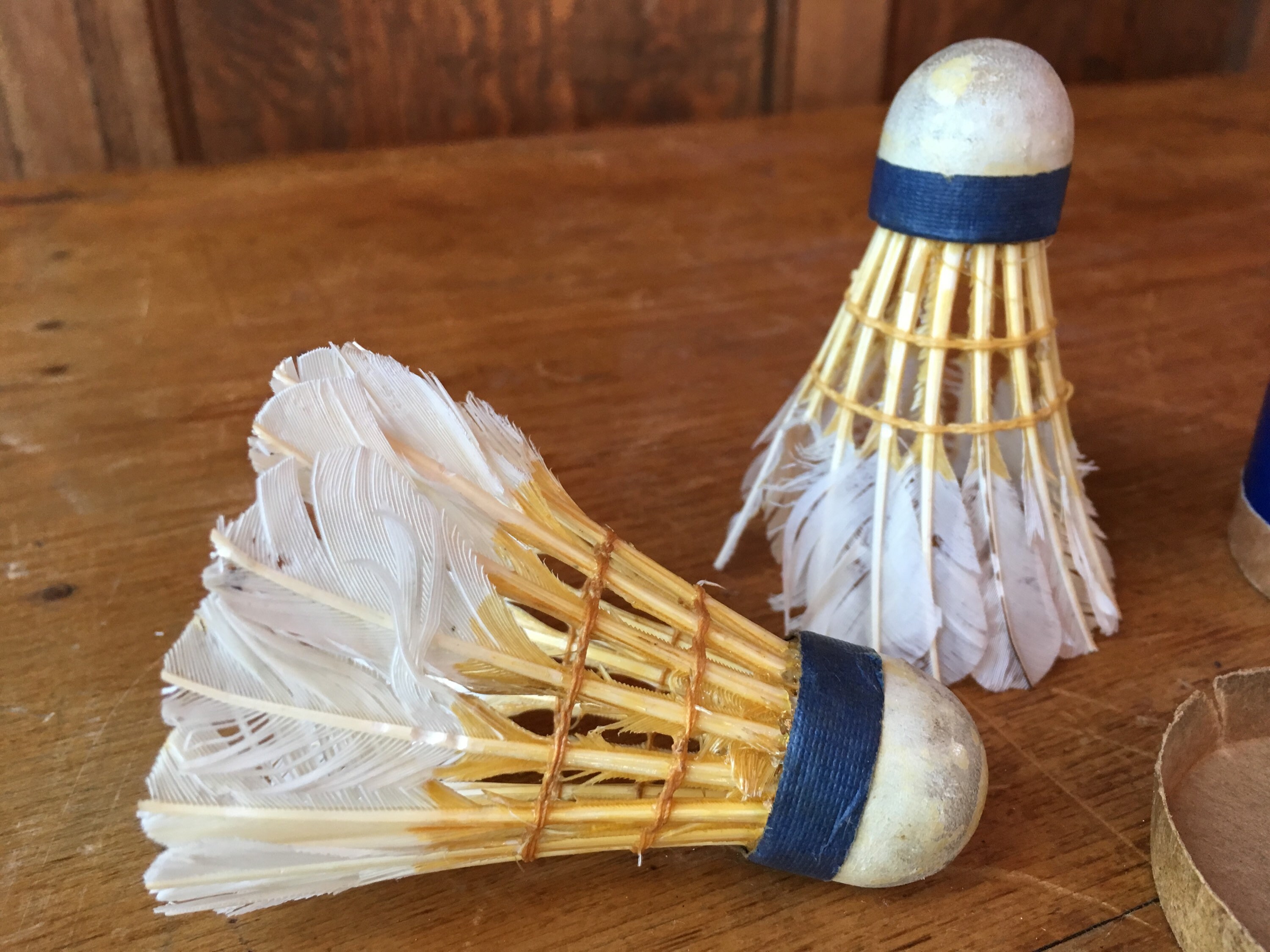 oversized shuttlecock