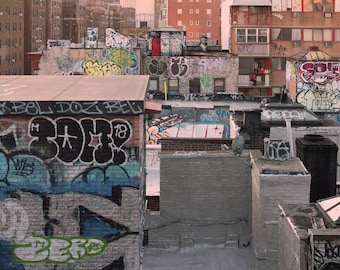 Fine Art Print, Chinatown Rooftop Graffiti, Urban Landscape, New York City, USA